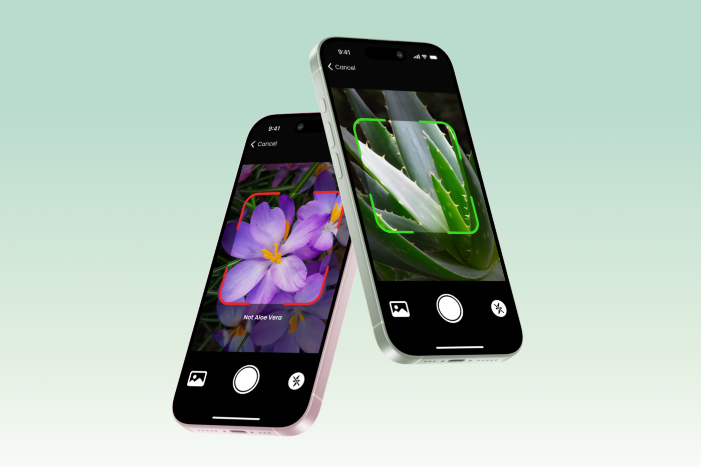 Mockup 4